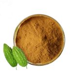 Spray-Dried-Powder-Bitter-Melon-Extract-Bitter-Gourd-Extract-Powder