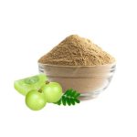 amla-extract-powder-buy-in-nigeria-wholesale